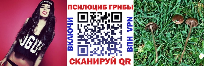 продажа наркотиков Воркута MEGA ссылка Псилоцибиновые грибы мухоморы